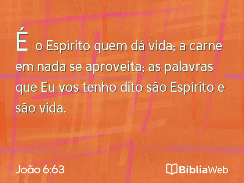João 6:63 em imagem para compartilhar