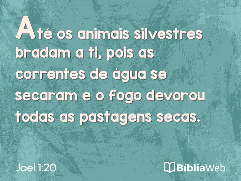 Joel 1:20 em imagem para compartilhar