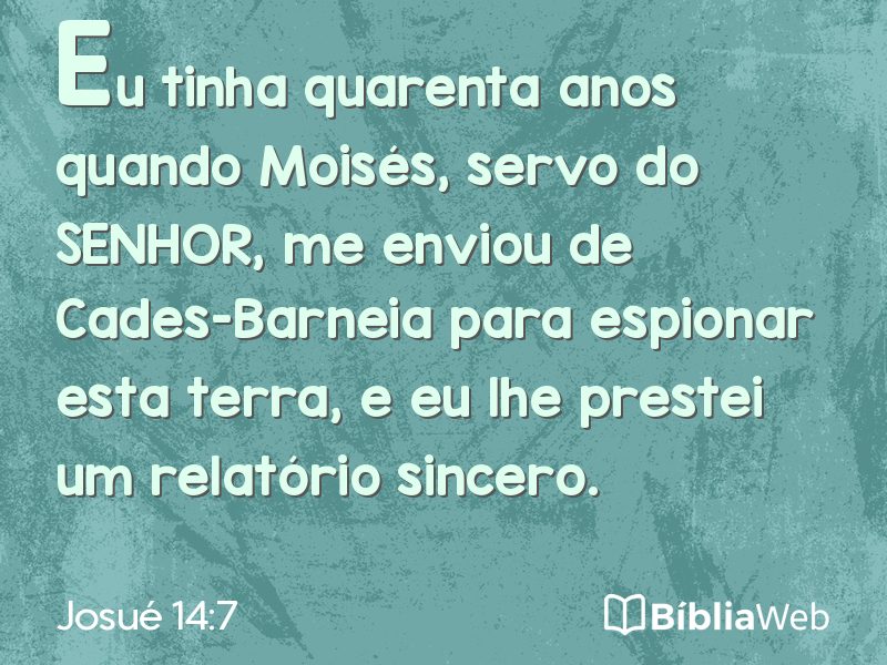 Josué 14:7 em imagem para compartilhar
