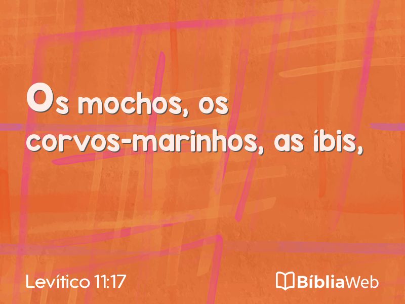 Levítico 11:17 em imagem para compartilhar