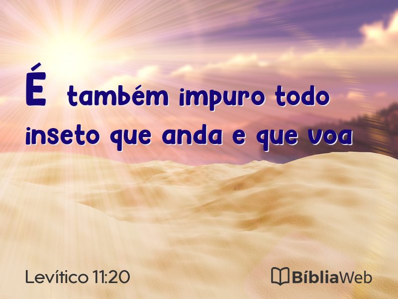 Levítico 11:20 em imagem para compartilhar