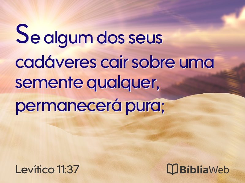 Levítico 11:37 em imagem para compartilhar