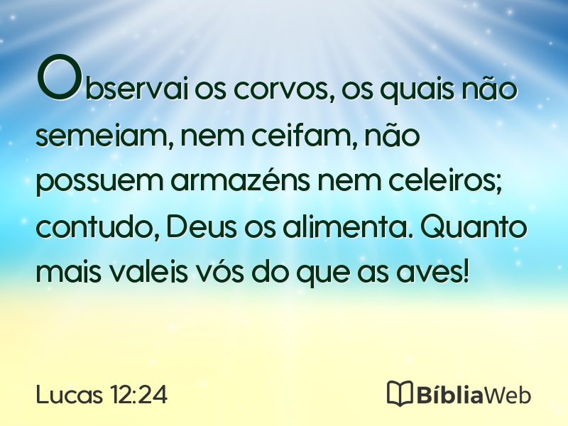 Lucas 12:24 em imagem para compartilhar
