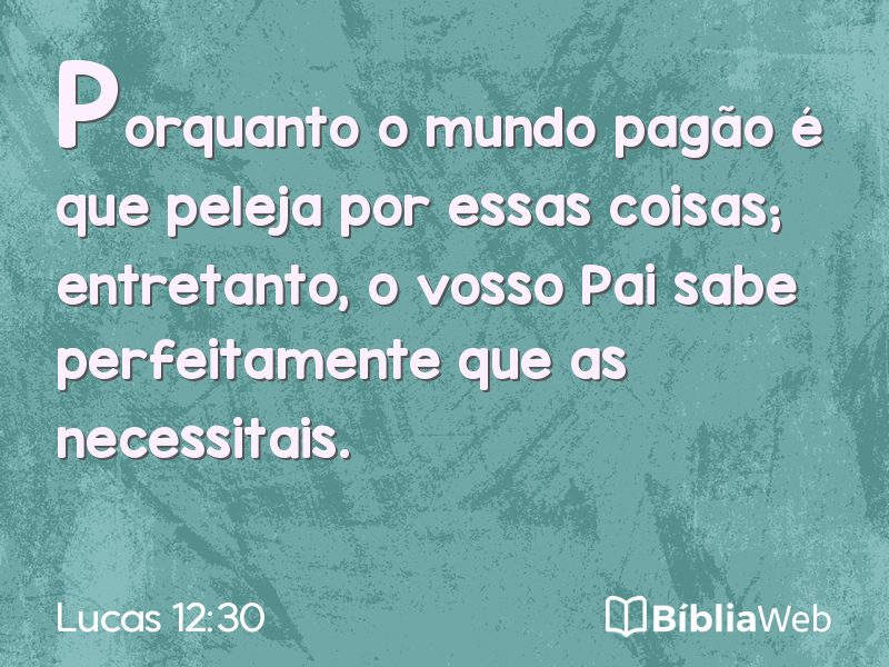 Lucas 12:30 em imagem para compartilhar