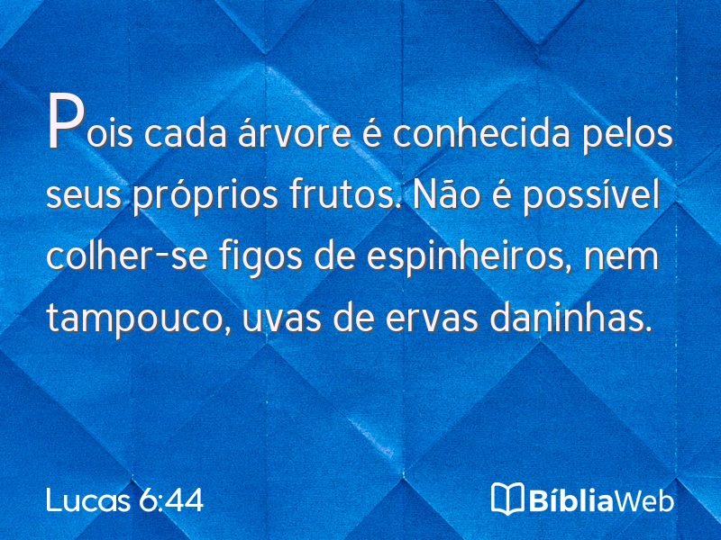 Lucas 6:44 em imagem para compartilhar