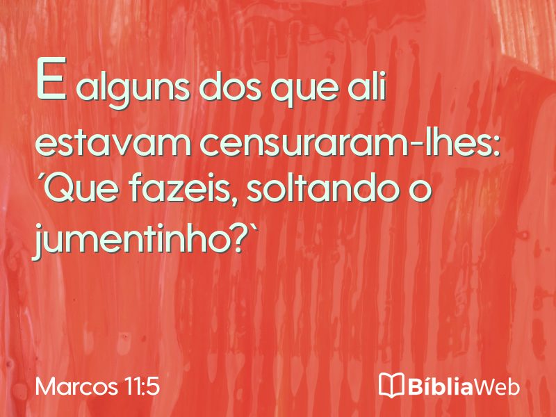 Marcos 11:5 em imagem para compartilhar