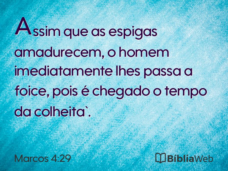Marcos 4:29 em imagem para compartilhar
