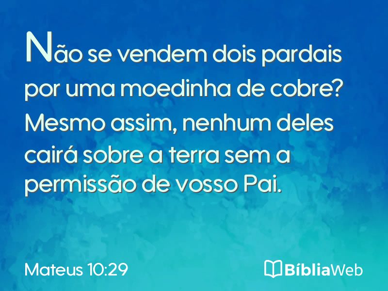 Mateus 10:29 em imagem para compartilhar