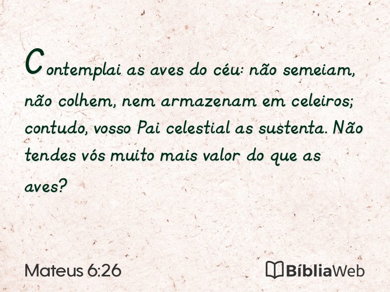 Mateus 6:26 em imagem para compartilhar