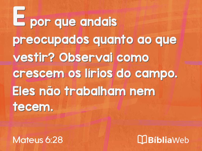 Mateus 6:28 em imagem para compartilhar