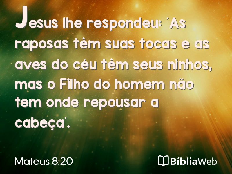 Mateus 8:20 em imagem para compartilhar