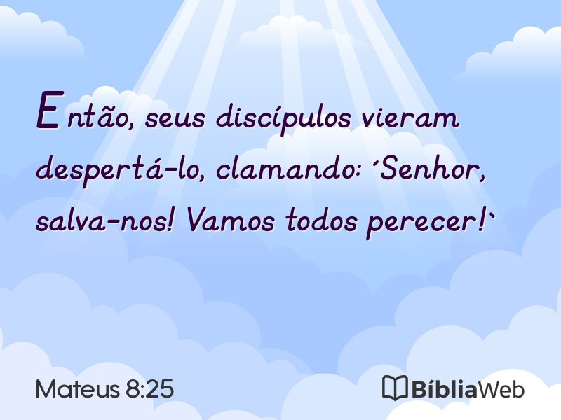 Mateus 8:25 em imagem para compartilhar