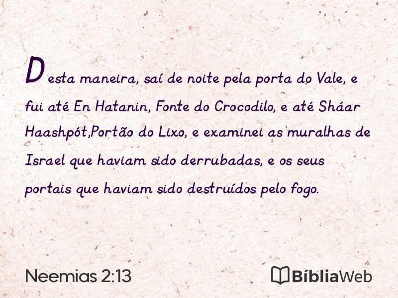 Neemias 2:13 em imagem para compartilhar
