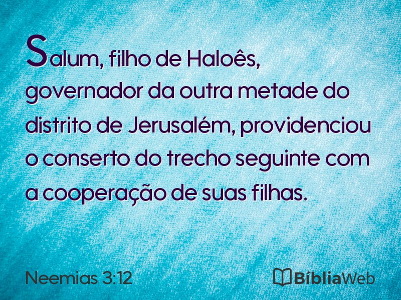 Neemias 3:12 em imagem para compartilhar