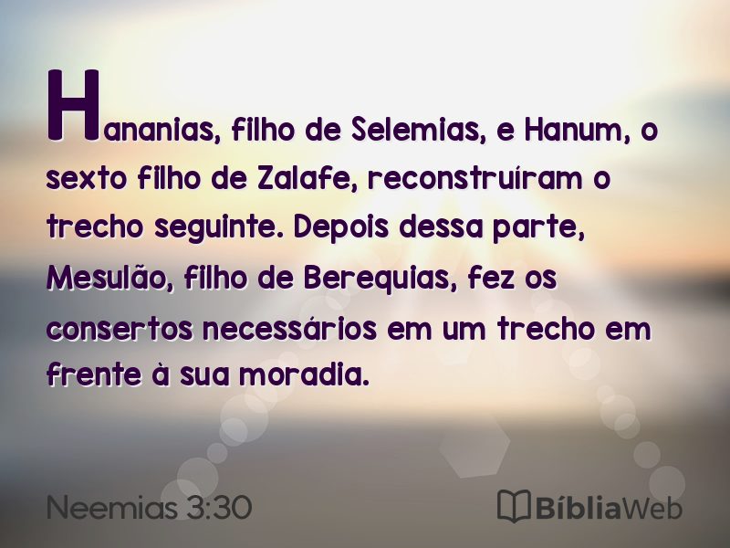 Neemias 3:30 em imagem para compartilhar
