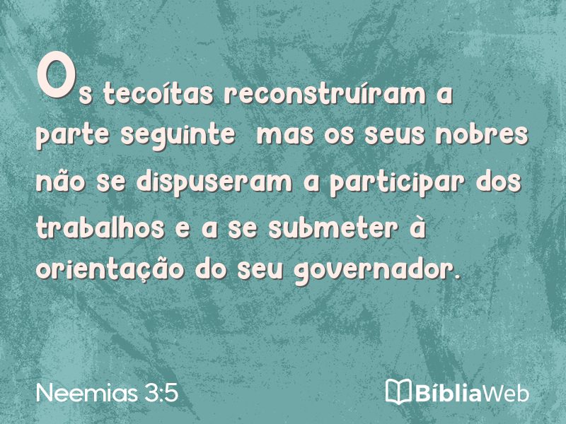 Neemias 3:5 em imagem para compartilhar