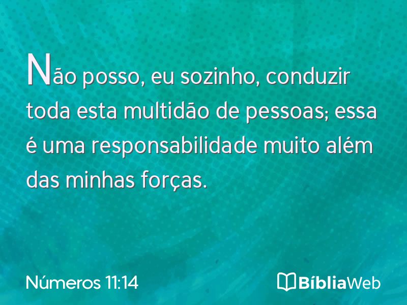 Números 11:14 em imagem para compartilhar