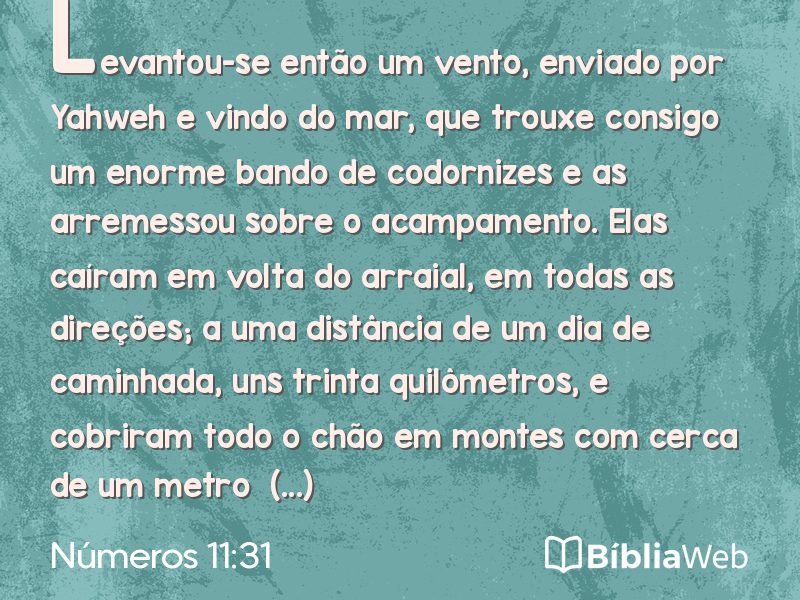 Números 11:31 em imagem para compartilhar