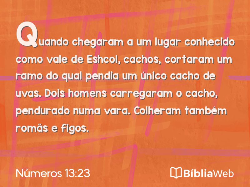 Números 13:23 em imagem para compartilhar