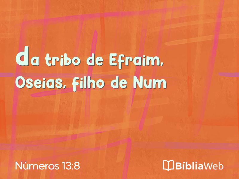 Números 13:8 em imagem para compartilhar