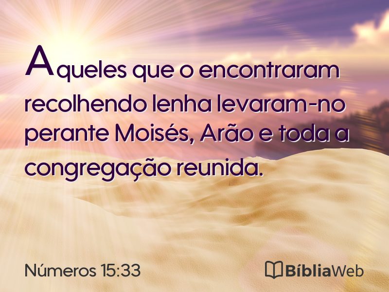 Números 15:33 em imagem para compartilhar