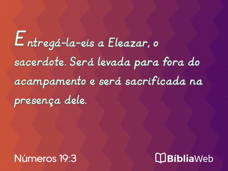 Números 19:3 em imagem para compartilhar