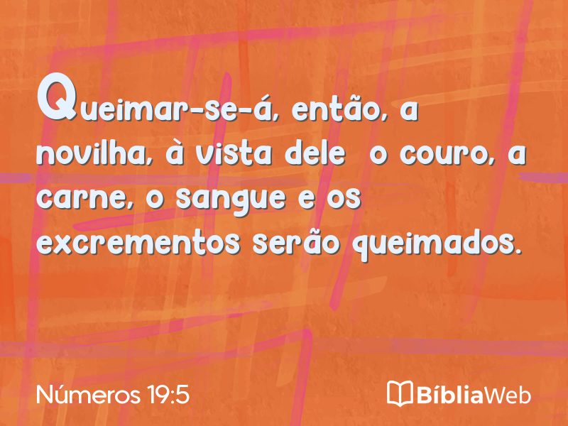 Números 19:5 em imagem para compartilhar