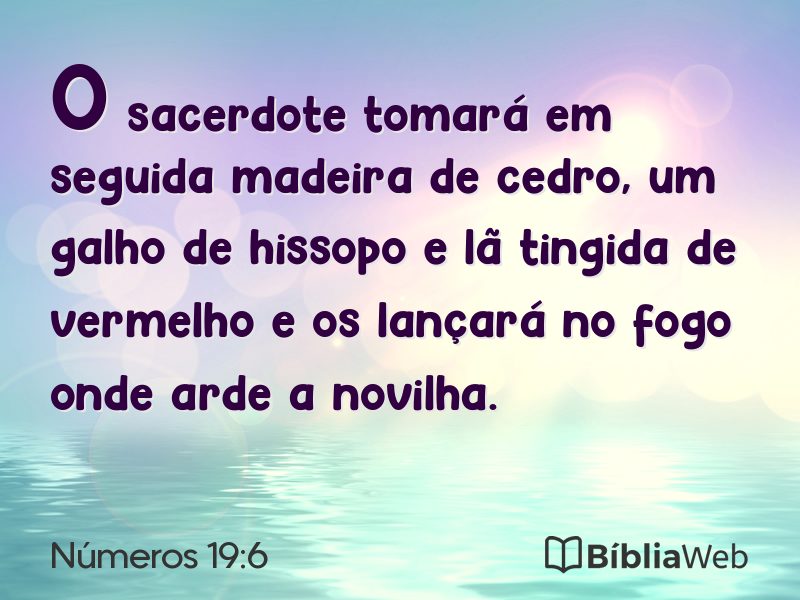 Números 19:6 em imagem para compartilhar