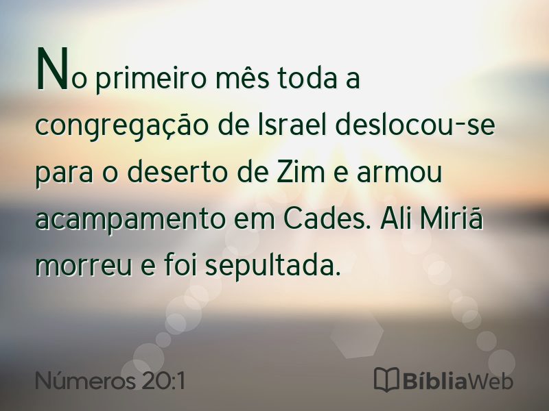 Números 20:1 em imagem para compartilhar