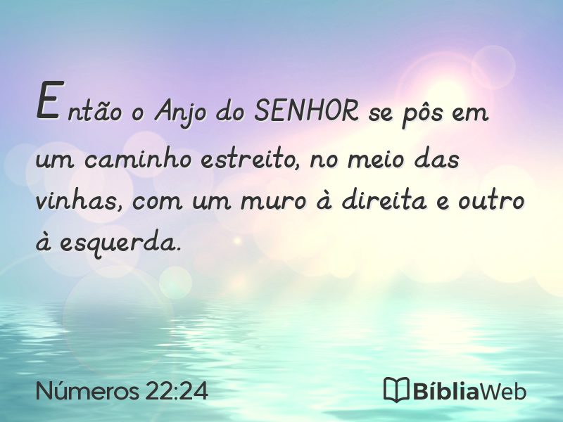 Números 22:24 em imagem para compartilhar