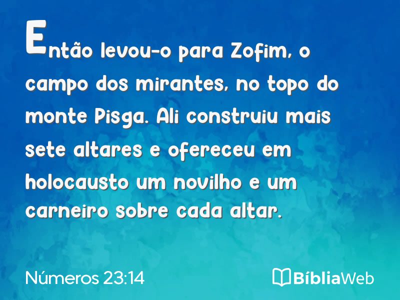 Números 23:14 em imagem para compartilhar