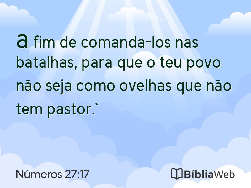 Números 27:17 em imagem para compartilhar