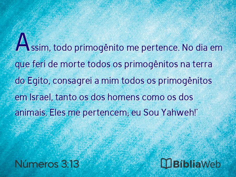 Números 3:13 em imagem para compartilhar