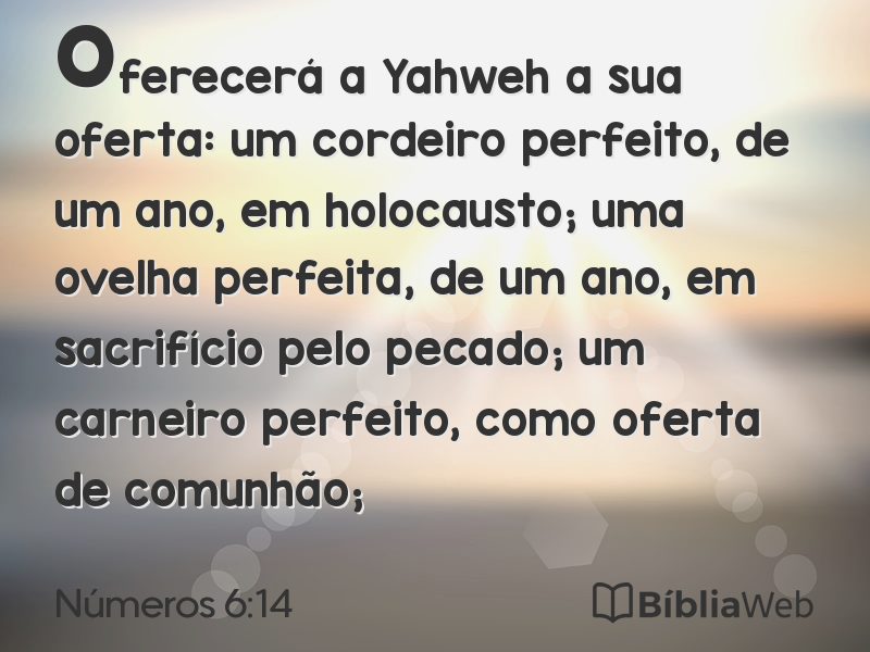 Números 6:14 em imagem para compartilhar