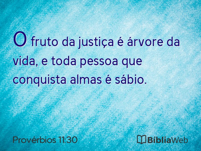 Provérbios 11:30 em imagem para compartilhar
