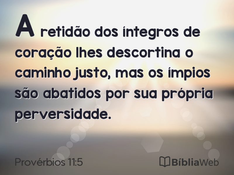 Provérbios 11:5 em imagem para compartilhar