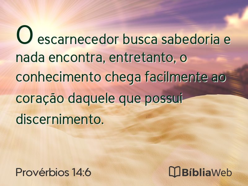 Provérbios 14:6 em imagem para compartilhar
