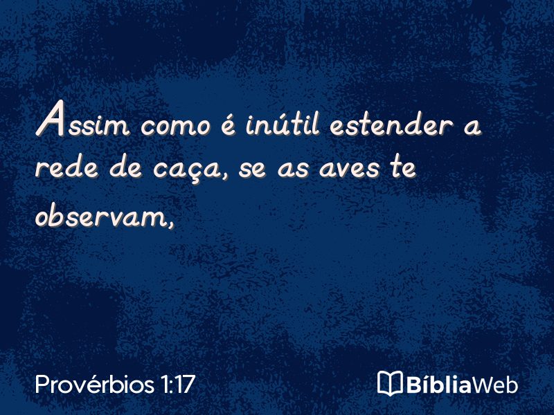 Provérbios 1:17 em imagem para compartilhar