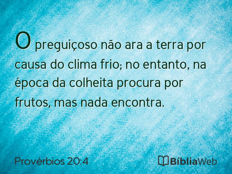 Provérbios 20:4 em imagem para compartilhar