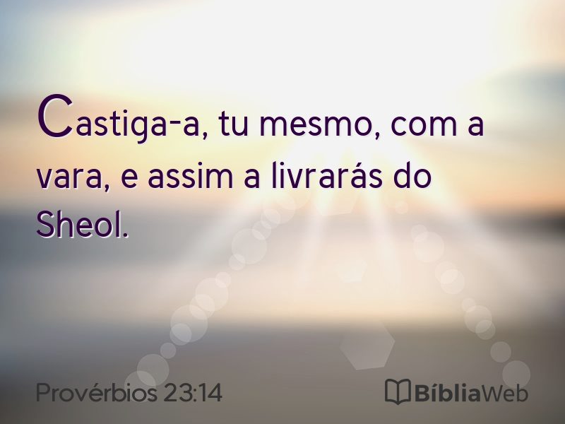 Provérbios 23:14 em imagem para compartilhar