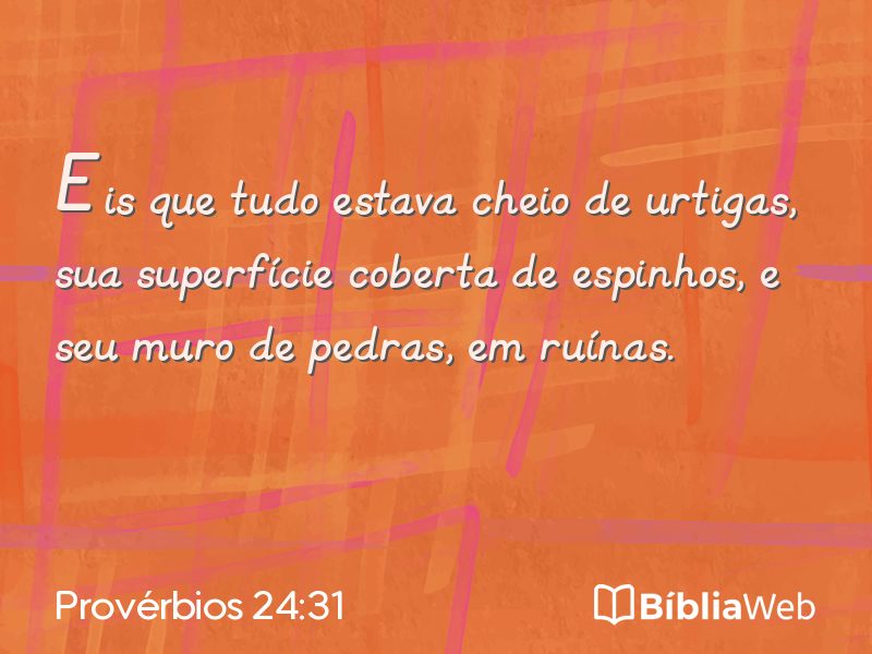 Provérbios 24:31 em imagem para compartilhar