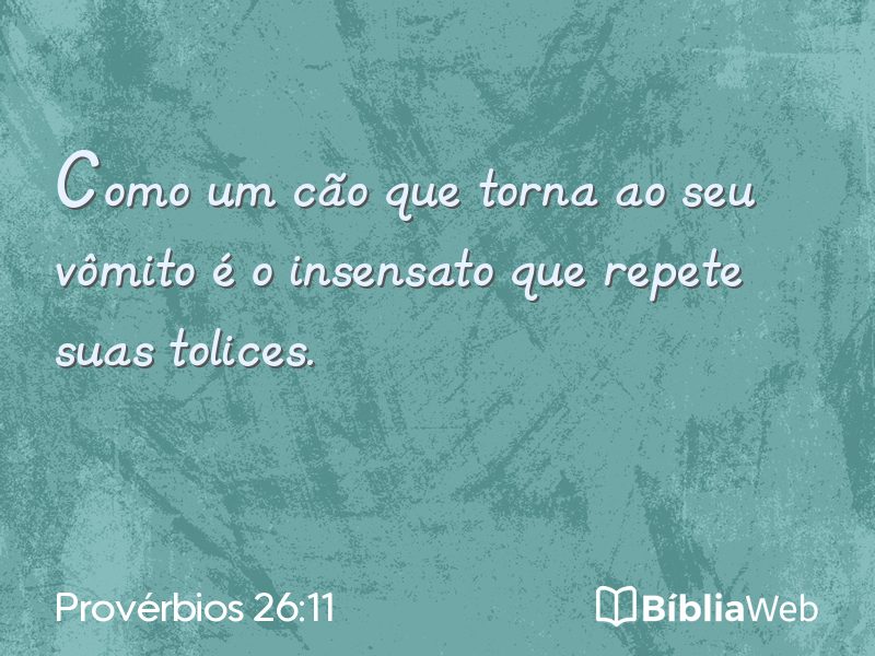 Provérbios 26:11 em imagem para compartilhar
