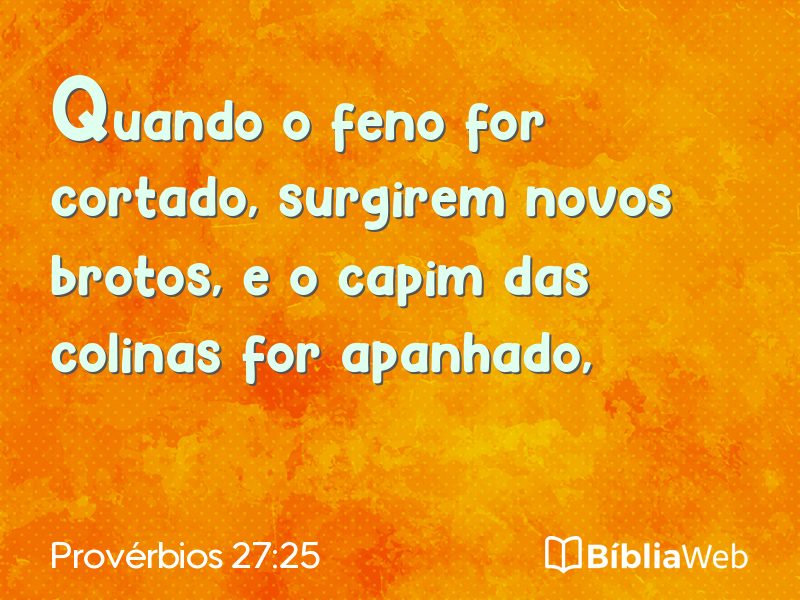 Provérbios 27:25 em imagem para compartilhar