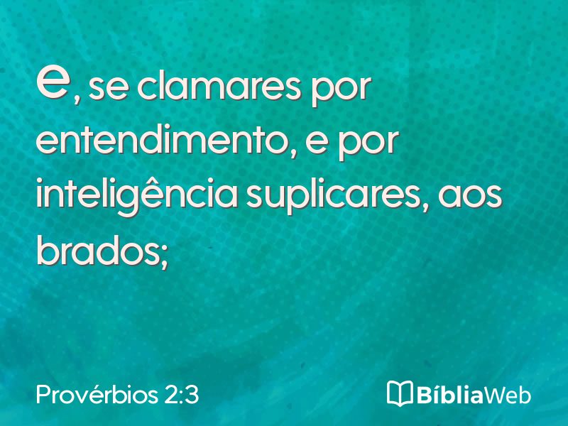 Provérbios 2:3 em imagem para compartilhar