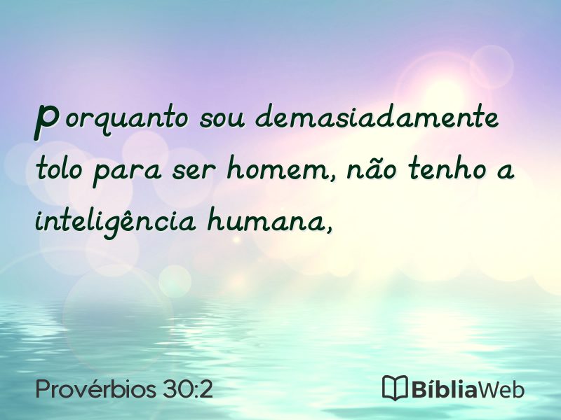 Provérbios 30:2 em imagem para compartilhar