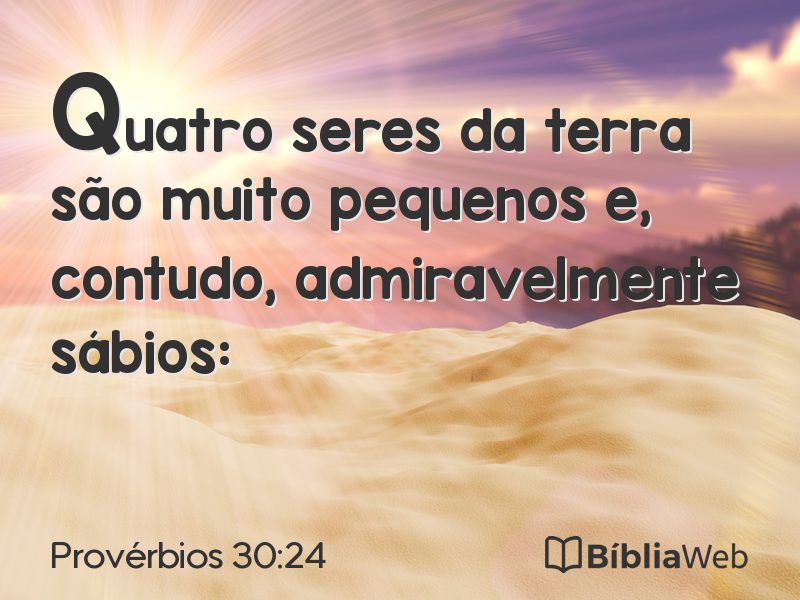 Provérbios 30:24 em imagem para compartilhar