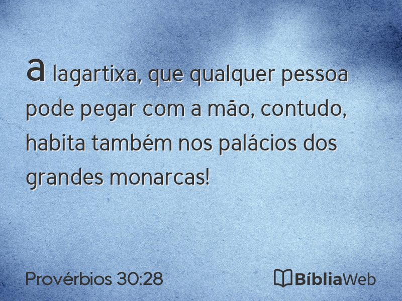 Provérbios 30:28 em imagem para compartilhar