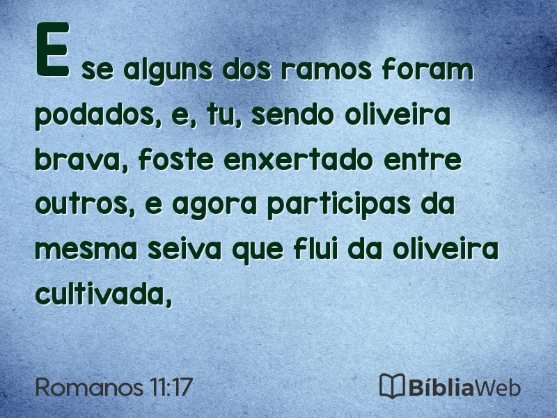 Romanos 11:17 em imagem para compartilhar