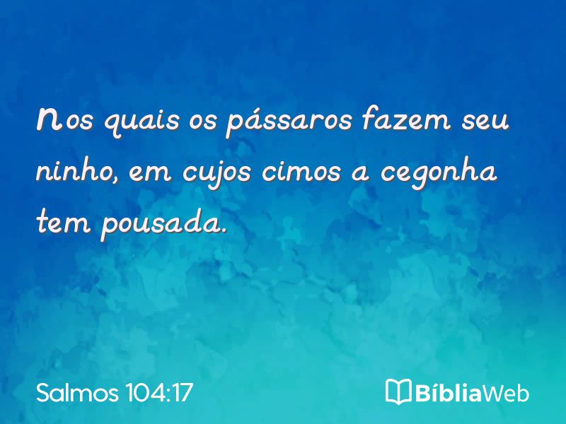 Salmos 104:17 em imagem para compartilhar