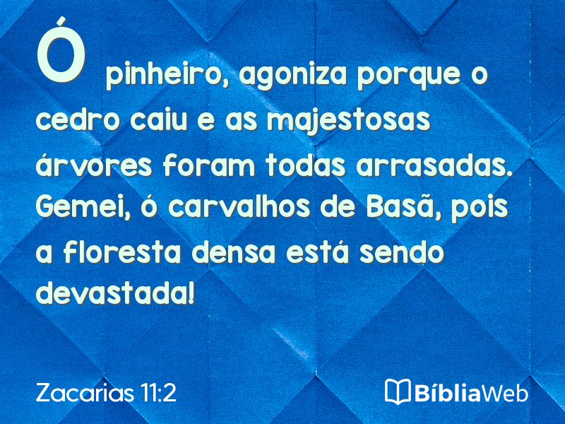 Zacarias 11:2 em imagem para compartilhar